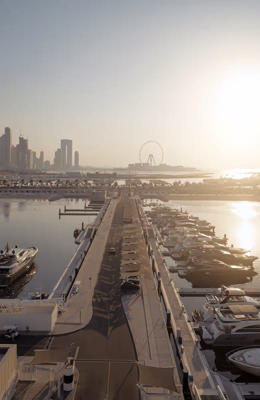 The pontoons and berths from above