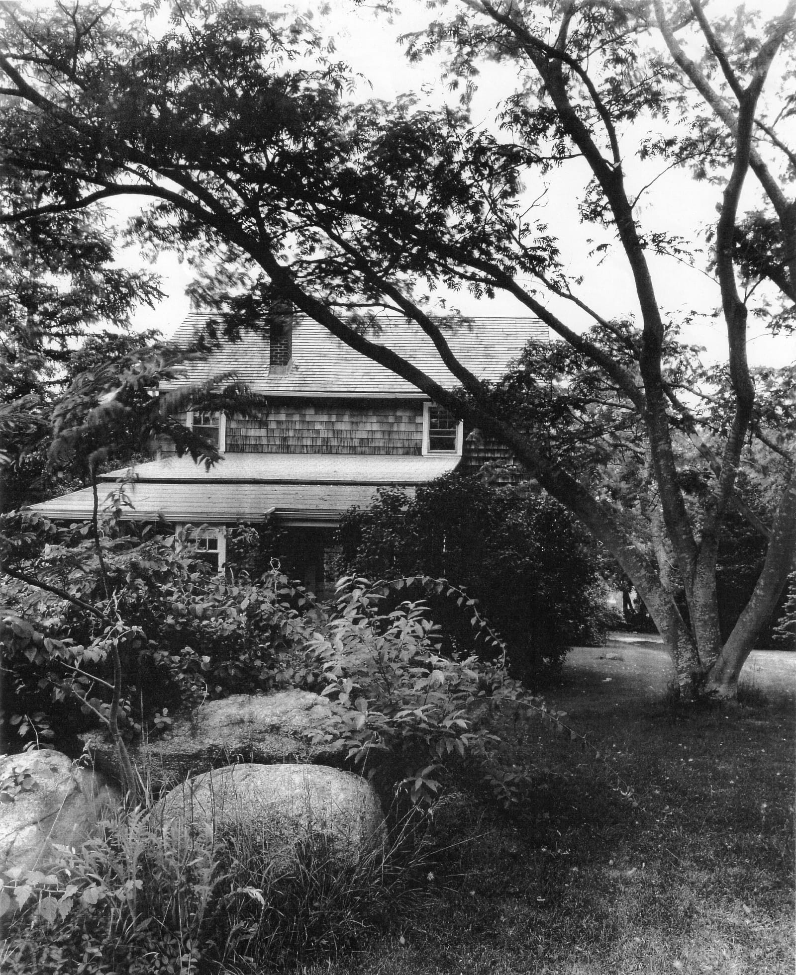 The house from the garden