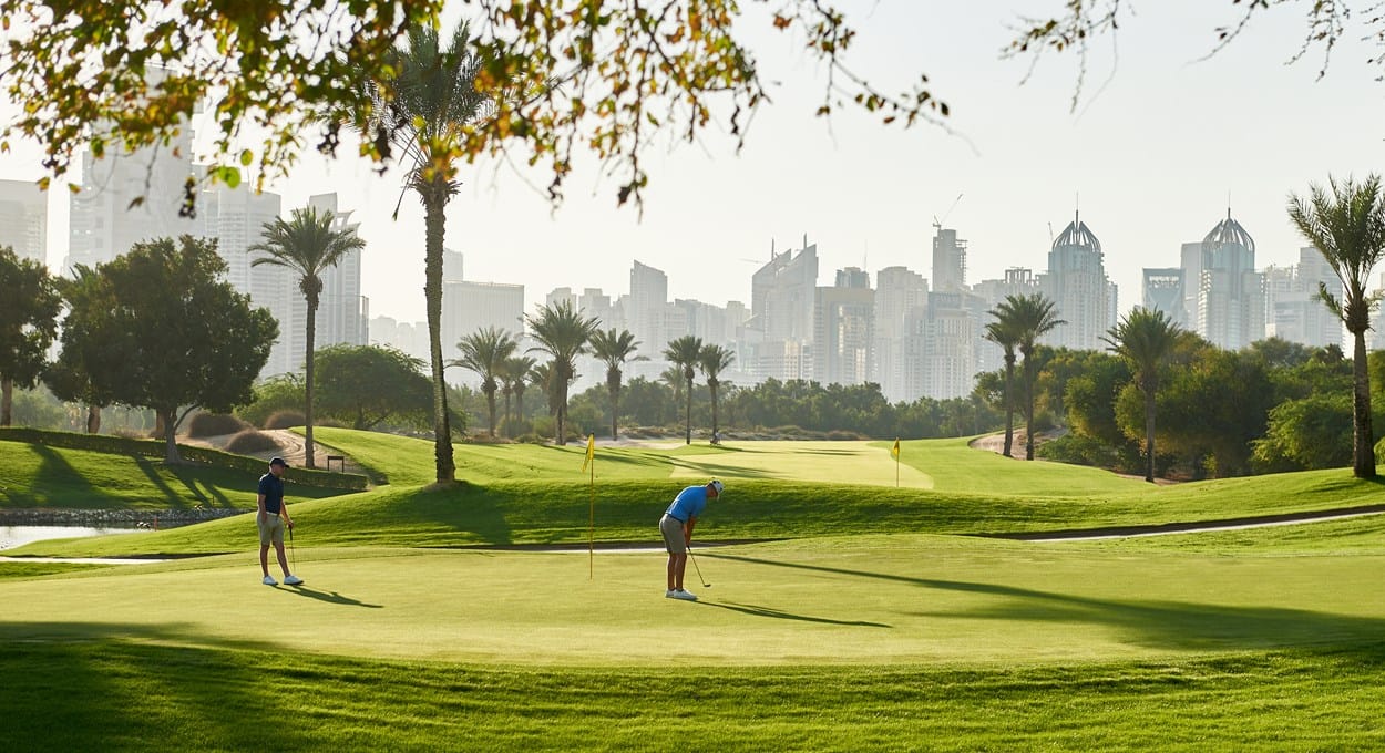 A green among palms and desert