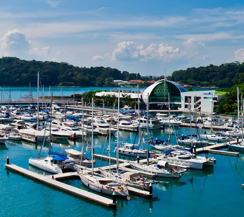 The marina and its clubhouse from above