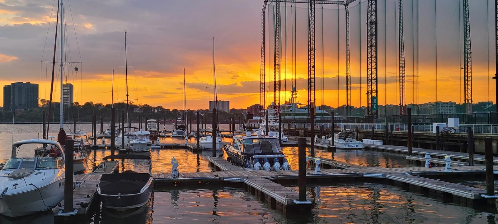 The marina slips at dusk