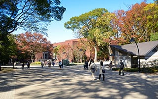 The approach through Ueno Park to the museum
