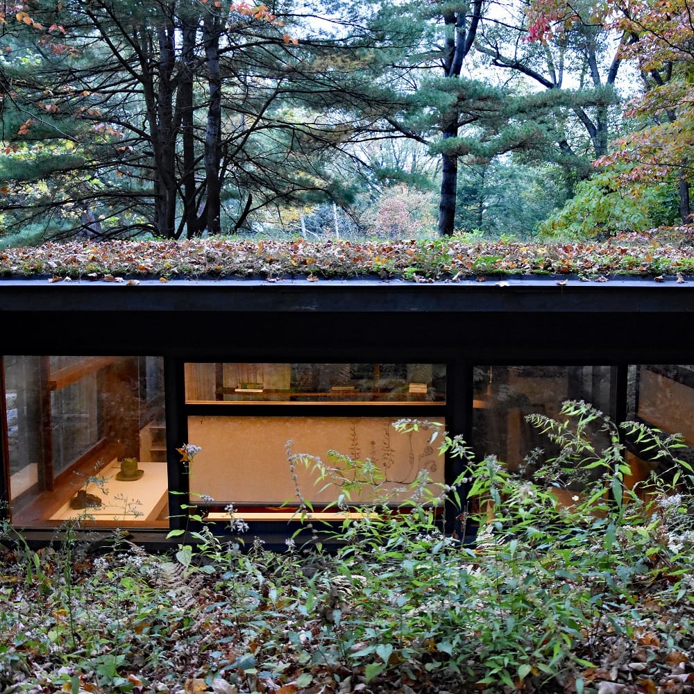 The studio's glass wall under its green roof