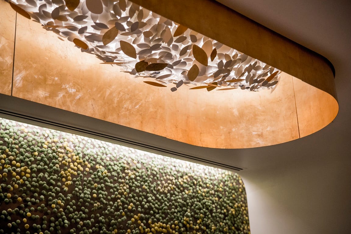 The leaf ceiling and green button wall