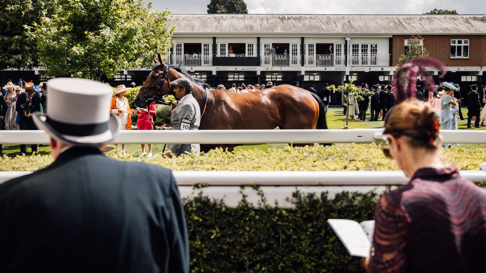 The parade ring