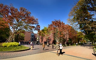 The red-brick museum from the Ueno Park promenade