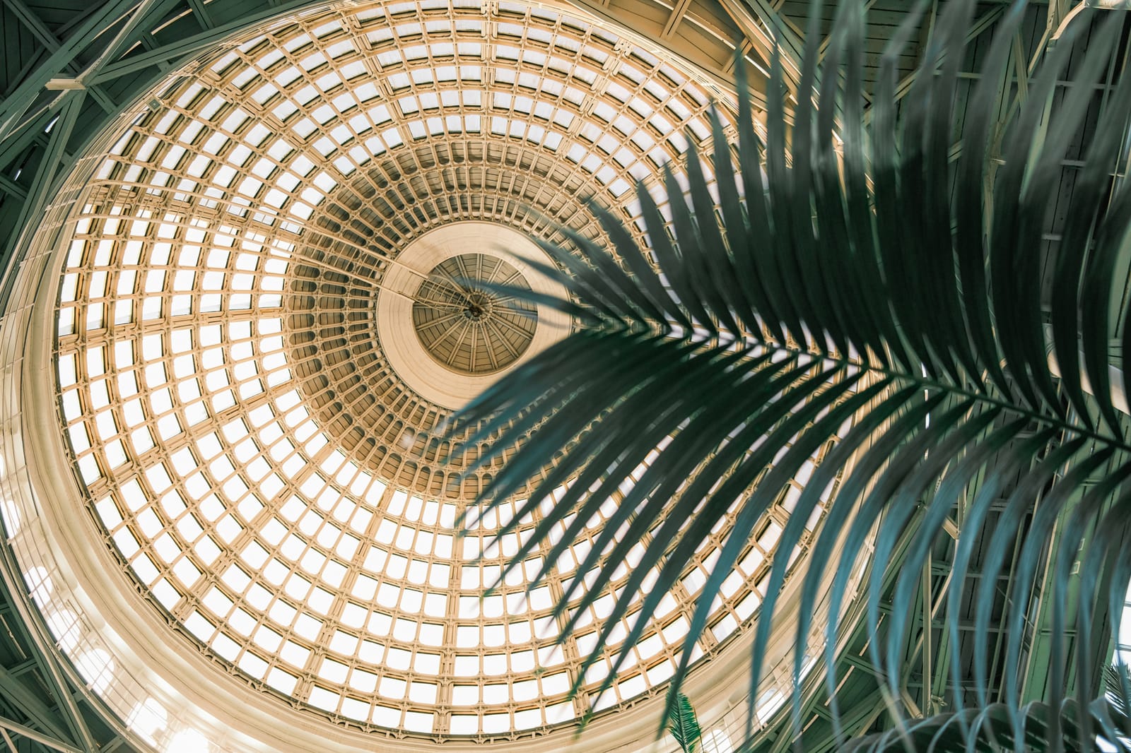 La coupole du jardin d'hiver