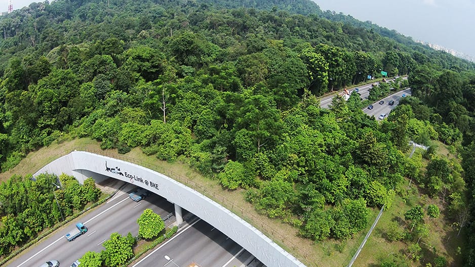 The Eco-Link@BKE from above