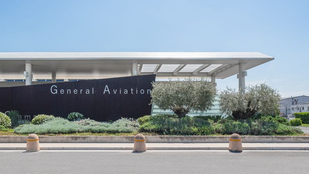 The terminal front and its olive trees