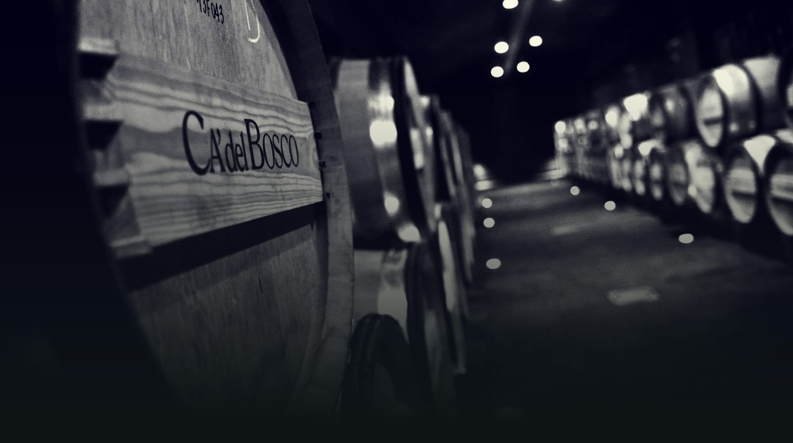 The barrel cellar