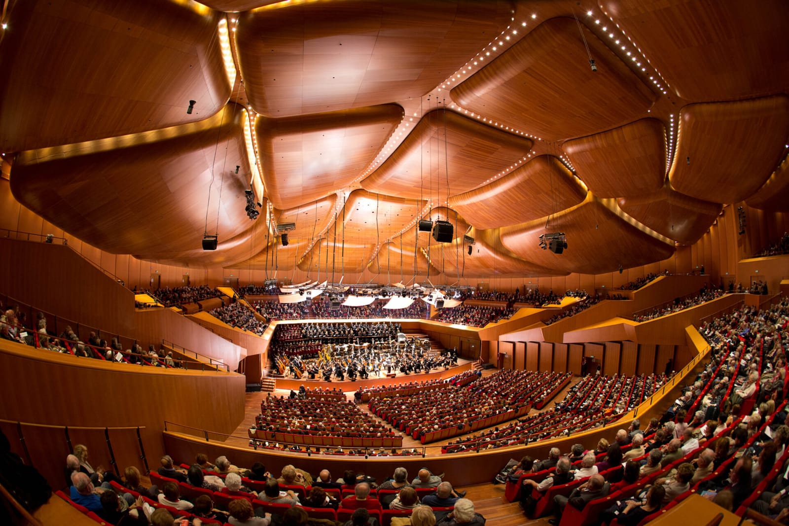 The Sala Santa Cecilia during a concert, under its wooden ceiling