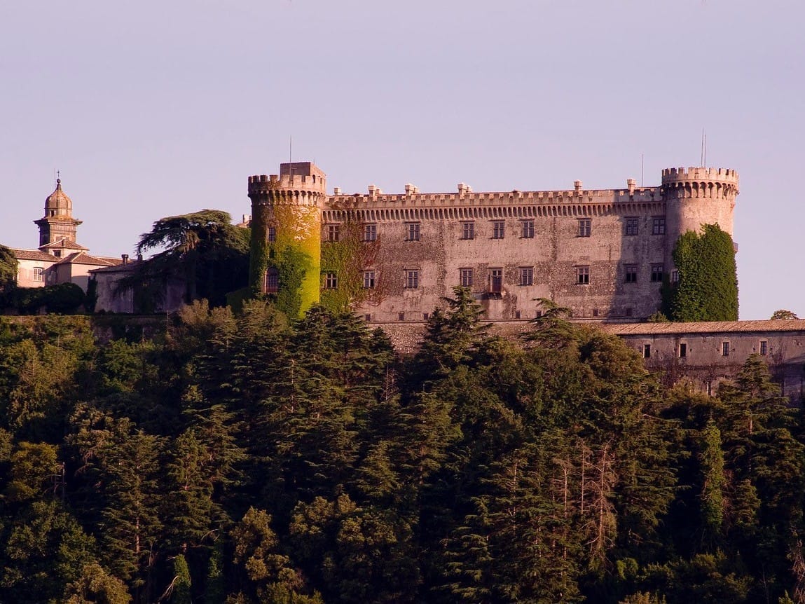 The castle over the woods at dusk