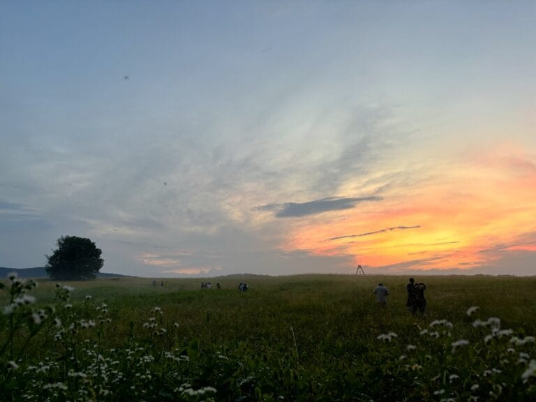 The fields at dusk
