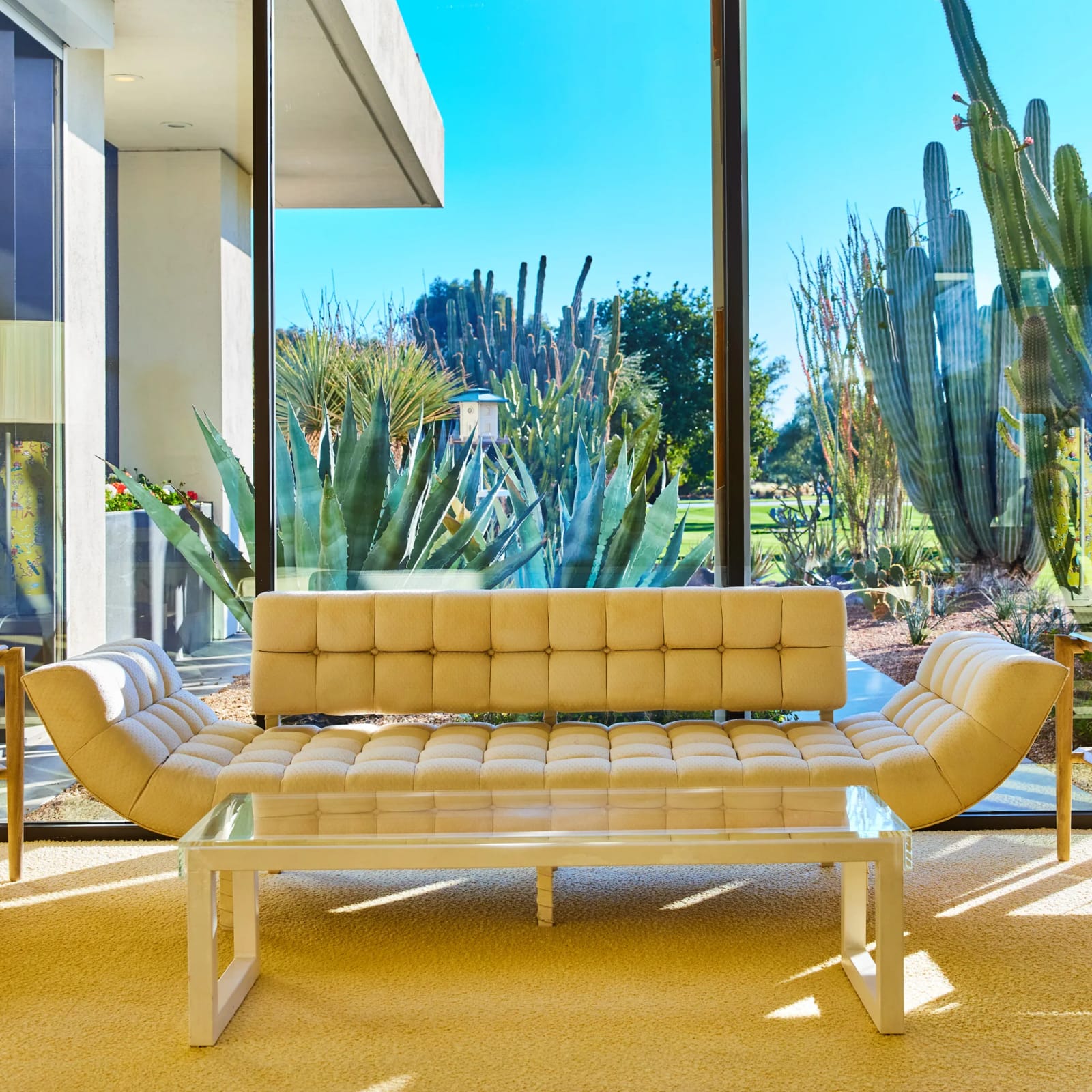 A sofa by the glass wall, cactus garden beyond