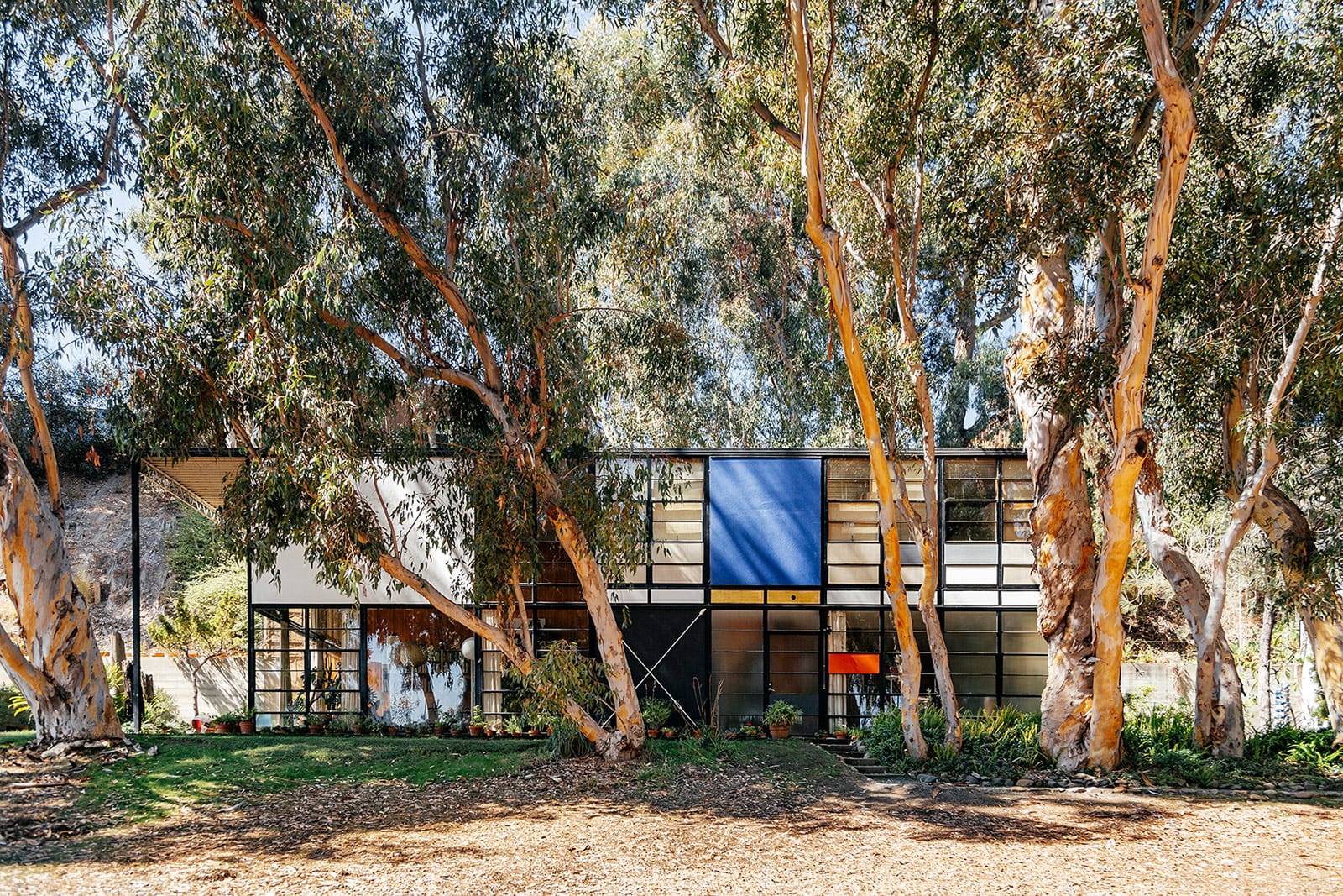The house from the meadow