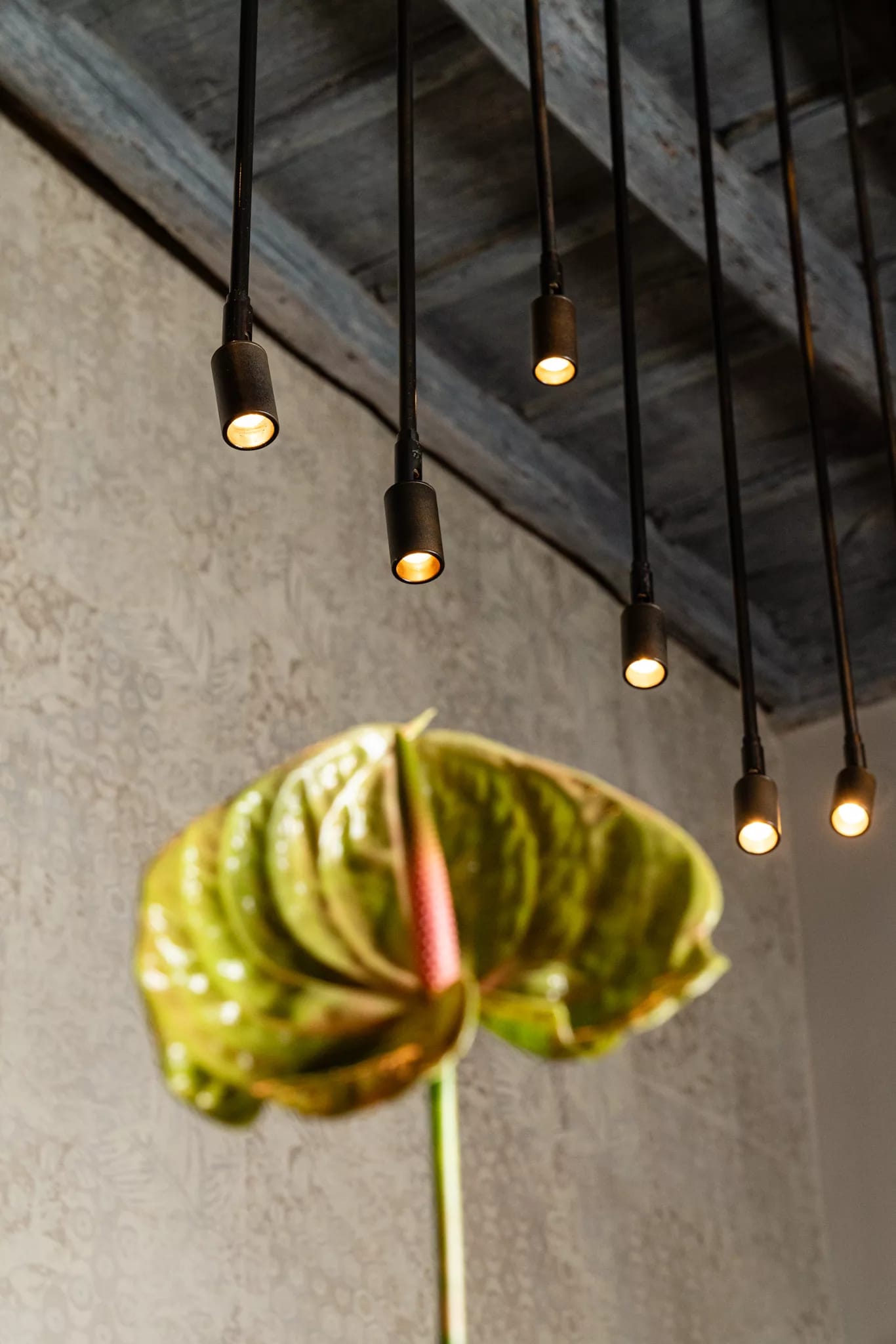 Pendant lights under a beamed ceiling